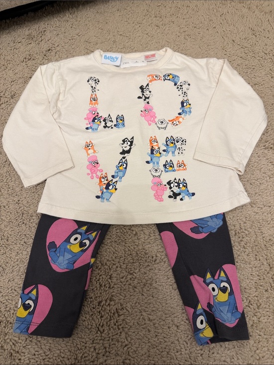 Zara Other - Zara Bluey Set